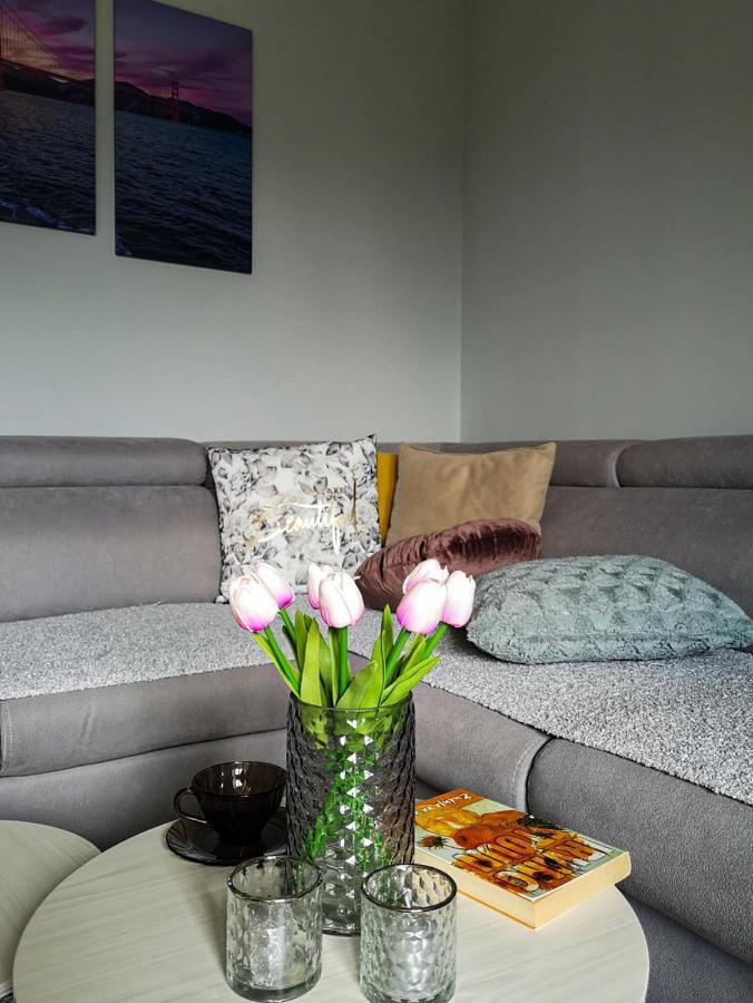 Apartman Jela โนวาวาโรช ภายนอก รูปภาพ
