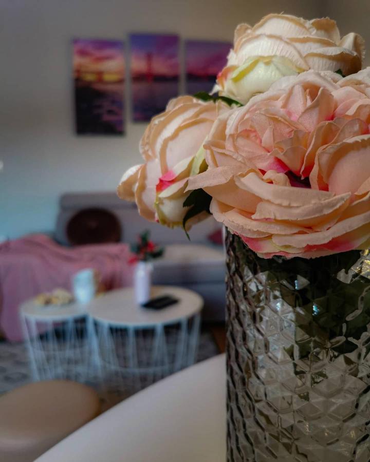 Apartman Jela โนวาวาโรช ภายนอก รูปภาพ