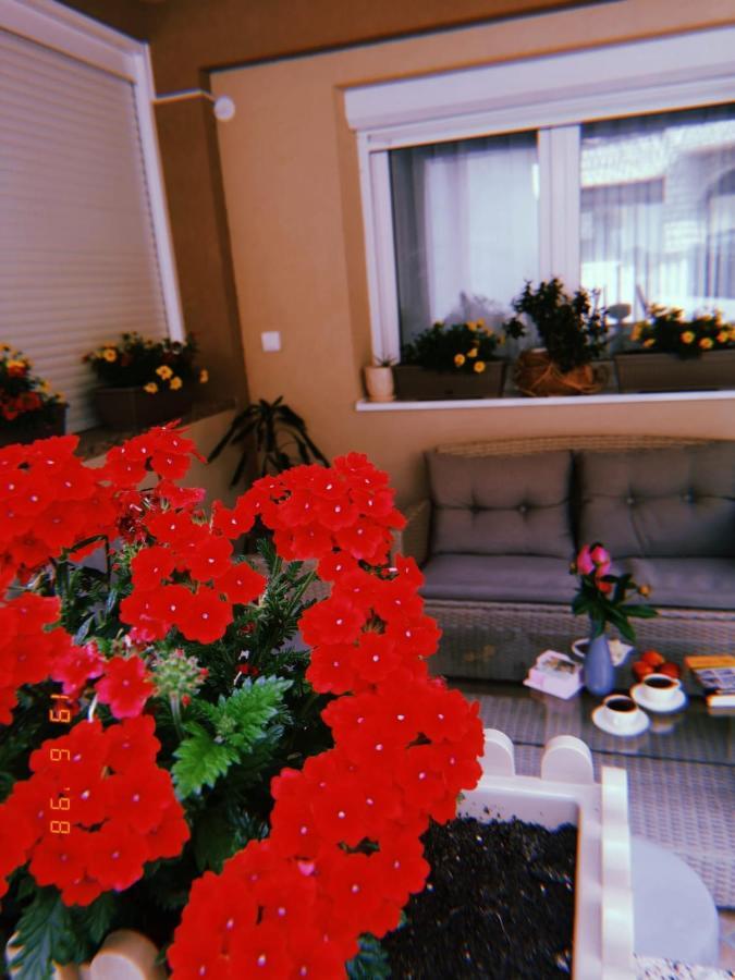 Apartman Jela โนวาวาโรช ภายนอก รูปภาพ